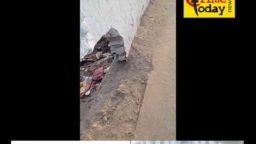 Crime Today News