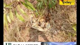 Crime Today News