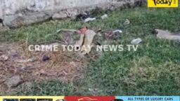 Crime Today News