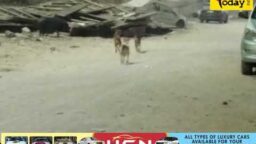 Crime Today News