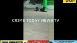 Crime Today News