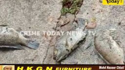 Crime Today News