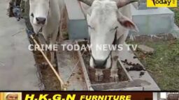 Crime Today News