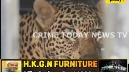 Crime Today News