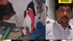 Crime Today News
