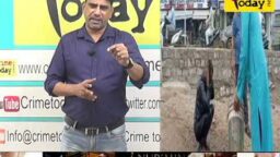 Crime Today News