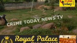 Crime Today News