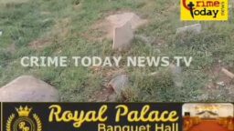 Crime Today News