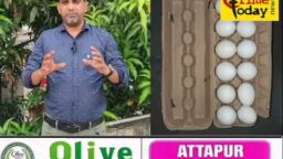 Crime Today News